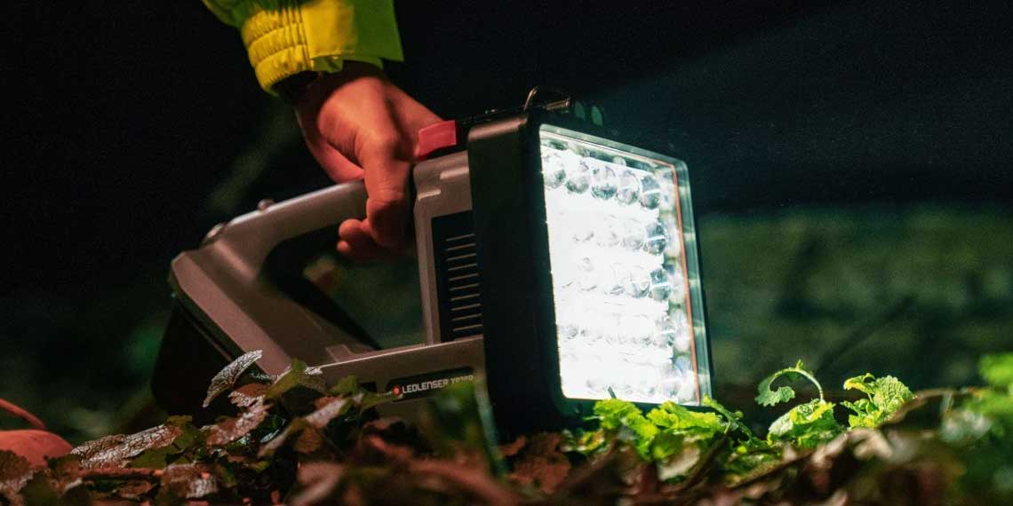A hand holds an LED lamp over green leaves at night.
