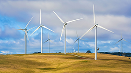 Five white wind turbines are spinning on a yellow meadow under a blue sky.